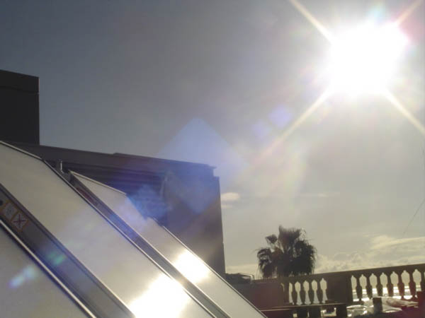 Paneles solares térmicos en azotea con el sol de fondo y una palmera