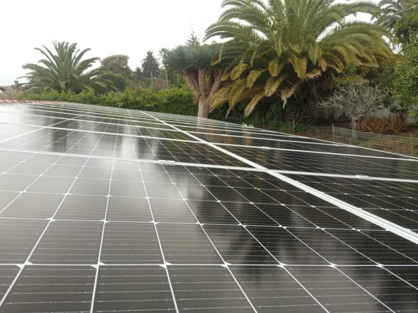 Paneles solares fotovoltaicos cubriendo completamente un tejado con fondo de flora canaria